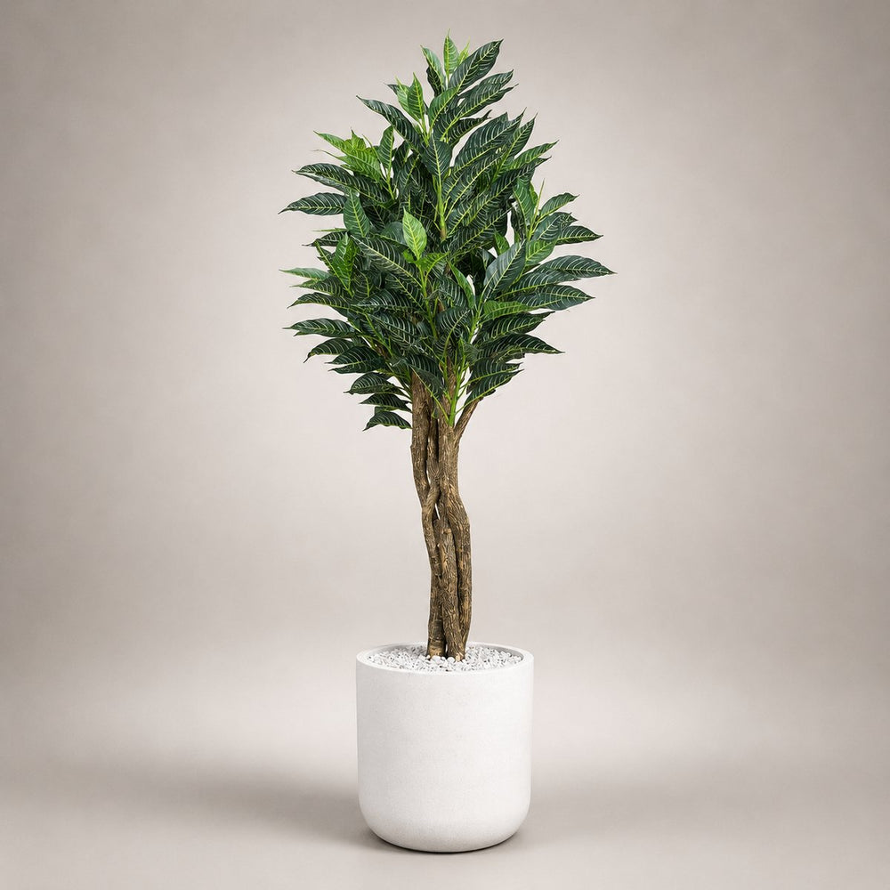 Double-Shaded Guava Leaf Tree in a Nexa 17″ white stone planter