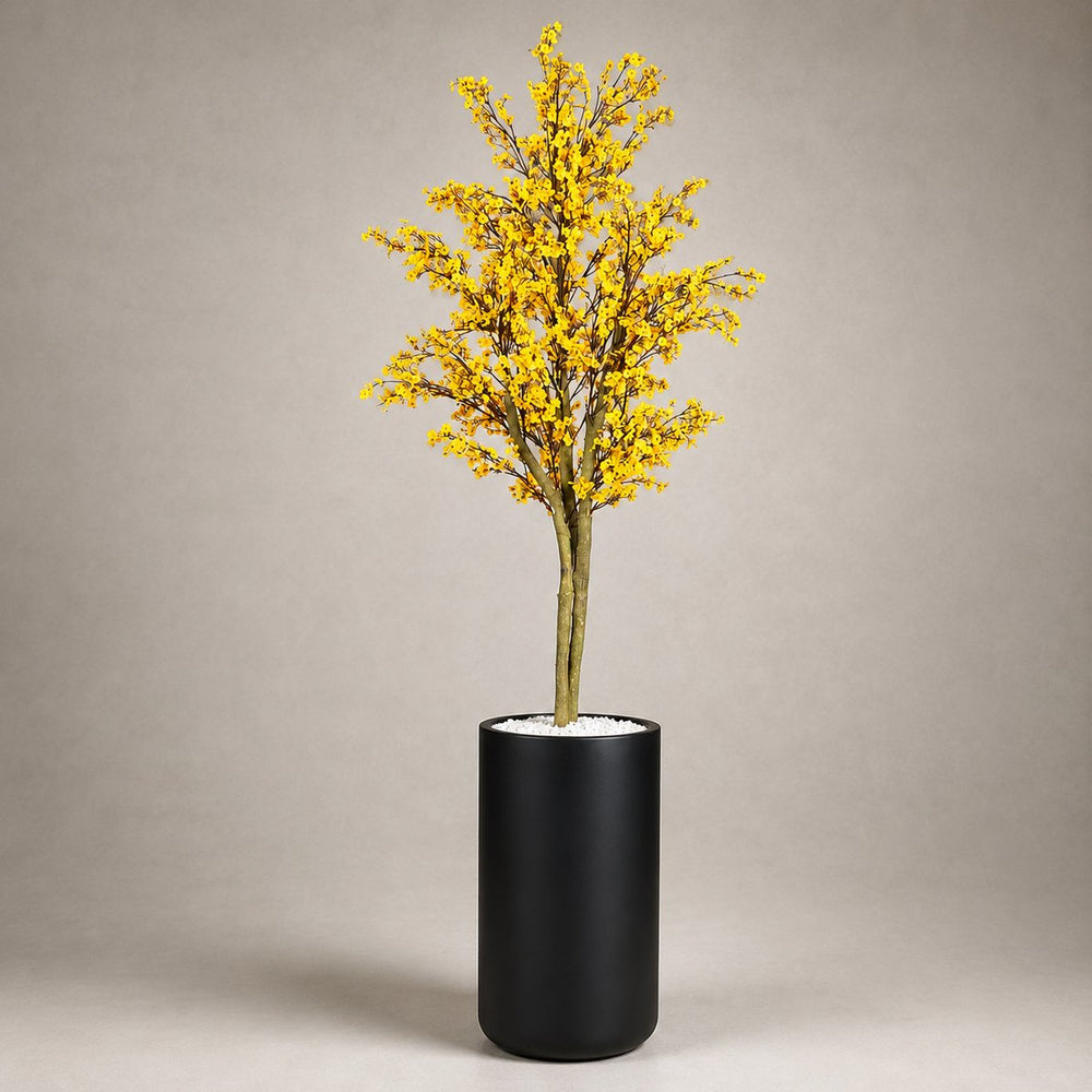 Yellow Star Cherry Blossom Tree in a Heaven 24″ matt black planter