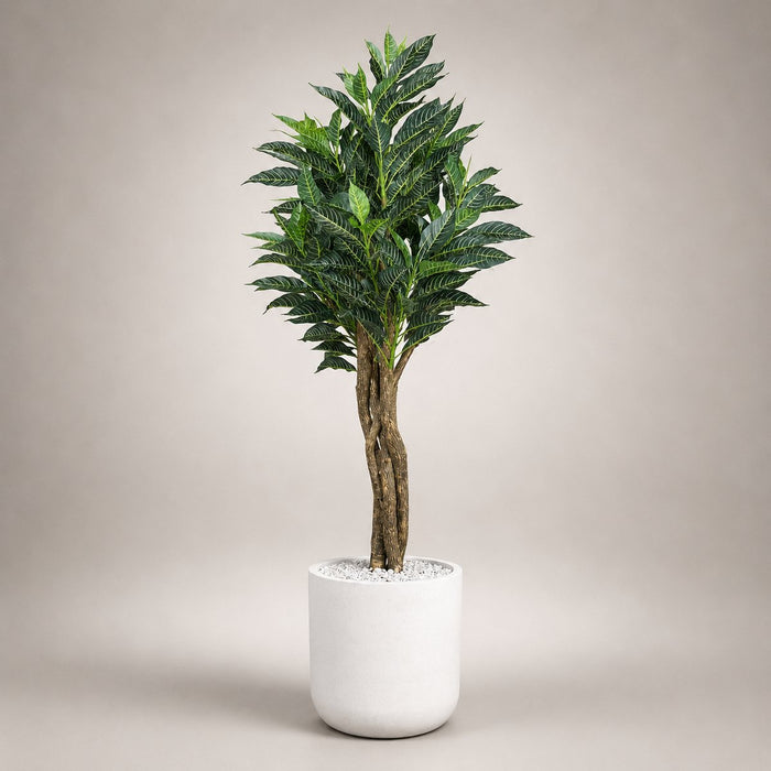 Double-Shaded Guava Leaf Tree in a Nexa 17″ white stone planter