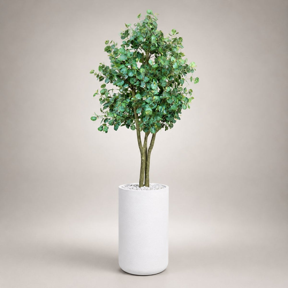 Green Eucalyptus Tree in a Heaven 24″ white stone planter