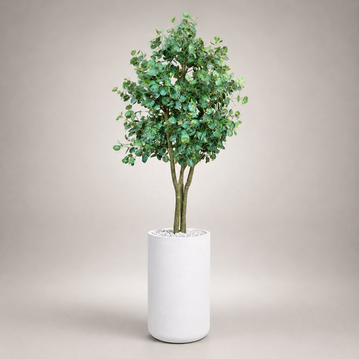 Green Eucalyptus Tree in a Heaven 24″ white stone planter