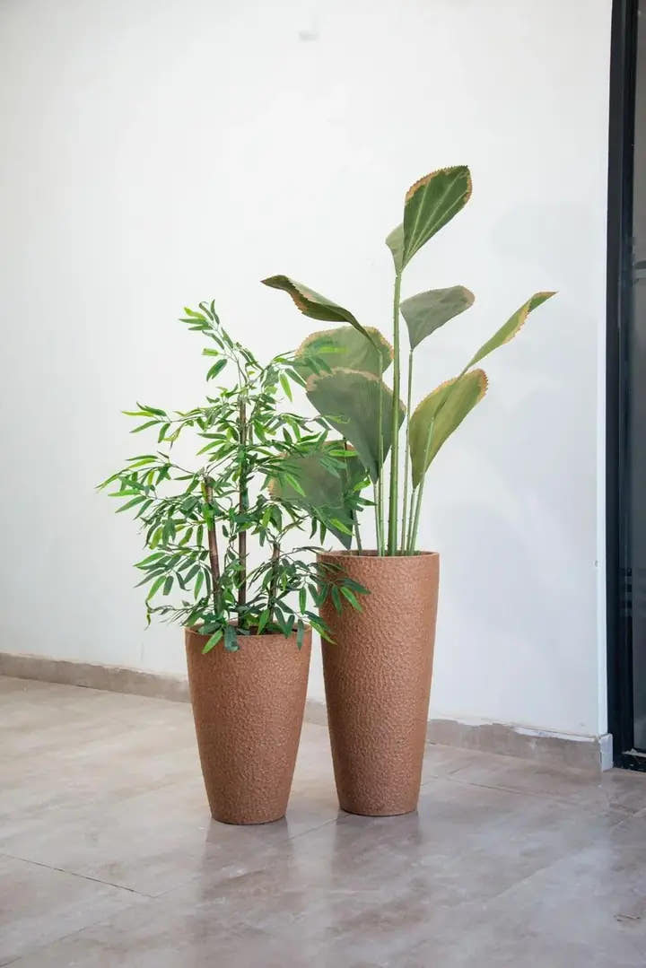 Bamboo & fan palm · textured planters