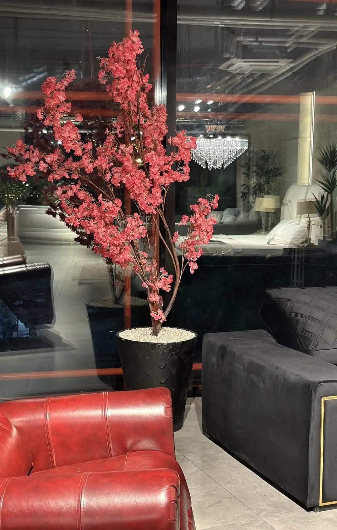 Red blossom tree · black planter